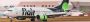 Navigating Flair Airways: How do I talk to a live person at 