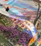 Stay Ahead with the Latest Digital Printing Trends!