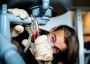 Handyman Plumbing and Electrical Services in Dubai