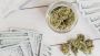 Premium Delta 8 Hemp Flower for Enhanced Wellness | Fusion C