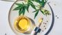 CBD Lubricant for Your Sexual Wellness