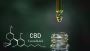CBD Oil Tincture