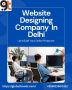 Professional Website Designing Company in Delhi