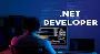 GREAT OPENINGS FOR DOT NET DEVELOPER ROLE IN SALEM