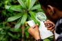 Ensure Environmental Compliance with GRC India’s Expertise