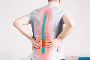 Best Spine doctor in Noida
