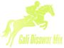 Gali Disawar Mix Daily Result Record of April 2024