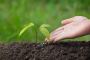 Top Uses of Vermicompost | Boost Soil Health & Plant Growth 