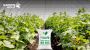 Boost Crop Yield with Greenhouse Farming Solutions in Gujara