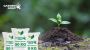 High-Quality 100% Organic Vermicompost in Gujarat
