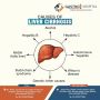 Fibroscan Liver Test in Ahmedabad at Gastro1 Hospital