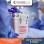 Liver Transplant in Ahmedabad – Start with the Right Consult