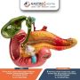 Find The Best Acute Pancreatitis Treatment Doctor in Ahmedab