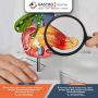 Quick Recovery with the Best Acute Pancreatitis Treatment Do