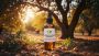 Buy Premium Carrier Oils in Bulk – Top 10 for Skincare