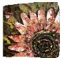 Harmony in Art: Traditional and Contemporary Masterpieces 