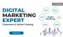 I will be your digital marketing strategist + business grow