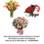Online Christmas day cake delivery in Canada | Gift Delivery