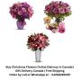 Order Christmas Flowers Delivery in Canada | Gift Delivery C