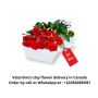 Valentine's Day Cakes delivery in Canada | Gift Delivery Can