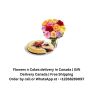 Flowers, Chocolate & Greeting Card delivery in Canada | Gift
