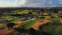 Turf and lawn Pigment