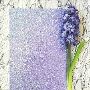Order Fine Glitter Fabric A4Sheets From Glitter Fabric World