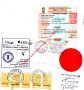 Need Transcript Certificate Apostille in Pune?