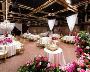 Choose Best social venue in Adelaide for Perfect Wedding