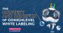 The Concept and Benefits of GoHighLevel White Labeling