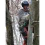 Tree Removal Sevices Orangeville