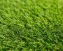 Things to Consider When Selecting Artificial Grass