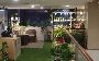 Elegant Décor Made Easy – Hire Plants for Events Greenlands