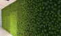 Leading Vertical Garden Supplier in Mumbai for Stylish Space