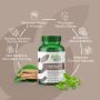 Nurture Calm & Clarity with Ashwagandha + Holy Basil Nurture Calm & Clarity with Ashwagandha + Holy Basil