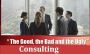 Organizational Development Consultant