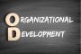 Organizational Development Consultant