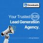 B2b Lead Generation Agency 