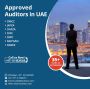 Annual Financial Audit Report in UAE