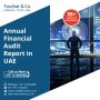 Financial Review and Financial Audit Report