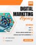 Best Digital Marketing Agency in Gurgaon – HO DIGITAL | SEO,