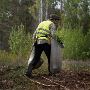 Enhance Your Essex Landscape with Expert Forestry Services!
