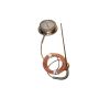 Johnson Controls T-2100-200 Surface Mount B Thermometer 