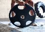 Choose The Right Strength Training Equipment From Hampton 