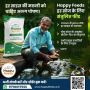 Top Fish Feed Company in India | Happy Feed