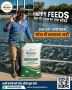 High-Quality Fish Feed for Aquaculture Farmers – Happy Feeds