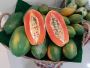  Nourish Your Body with Organic Vegetables at HappyLyfe