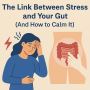 How bloating and stress are connected?