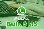 Reliable Bulk WhatsApp Service Provider in Delhi – Hashtagsm
