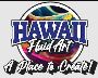 Hawaii Fluid Art